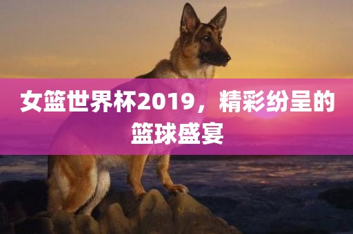 女篮世界杯2019