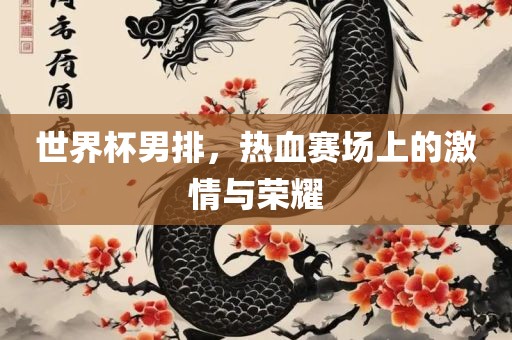 世界杯男排，热血赛场上的激情与荣耀漯河市盈旭机械设备有限公司