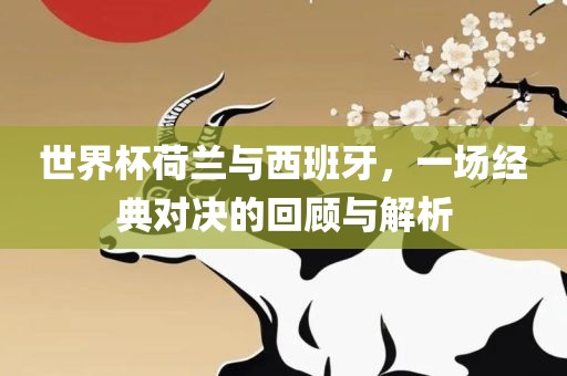 世界杯荷兰与西班牙，一场经典对决的回顾与解析