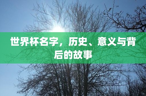 世界杯名字，历史、意义与背后的故事漯河市盈旭机械设备有限公司