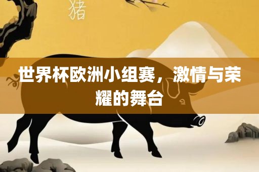 世界杯欧洲小组赛，激情与荣耀的舞台
