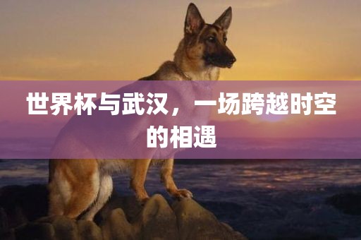 世界杯与武汉，一漯河市盈旭机械设备有限公司场跨越时空的相遇