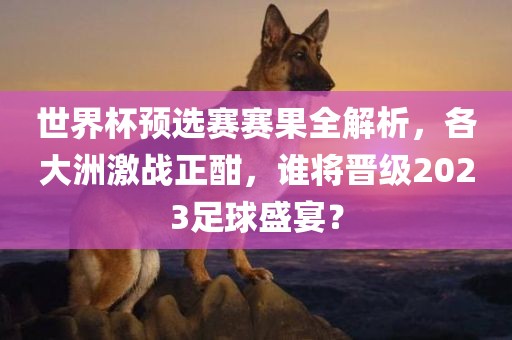 世界杯预选赛赛果全解析，各大洲激战正酣，谁将晋级2023足球盛宴？漯河市盈旭机械设备有限公司