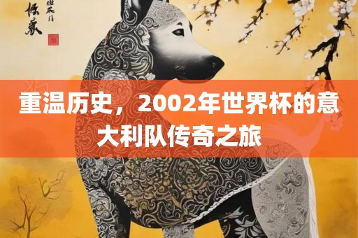 漯河市盈旭机械设备有限公司重温历史，2002年世界杯的意大利队传奇之旅