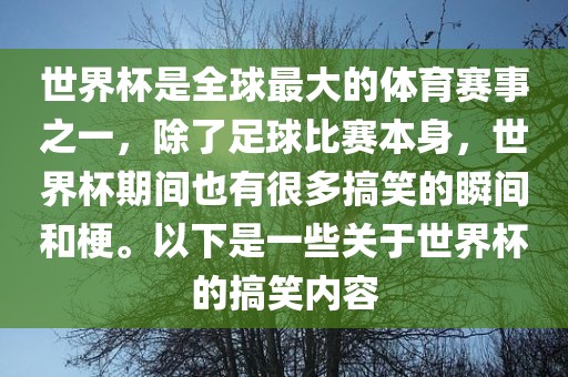世界杯是全球最大的体育赛事之一，除了足球比赛本身，世界杯期间也有很多搞笑的瞬间和梗。以下是一些关于世界杯的搞笑内容