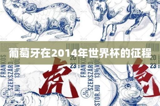 葡萄牙在2014年世界杯的征程