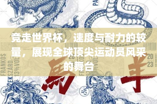 竞走世界杯，速度与耐力的较量，展现全球顶尖运动员风采的舞台