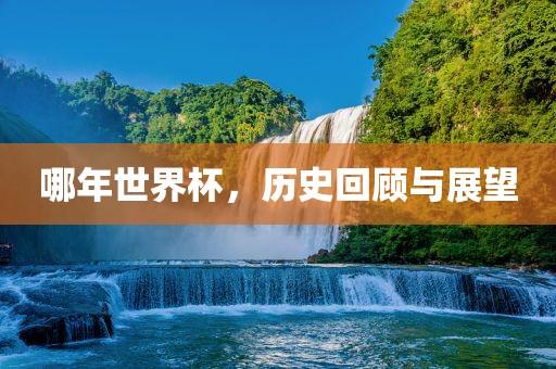 哪年世界杯，历史回顾与展望