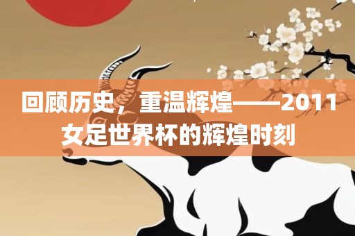 回顾历史，重温辉煌——2011女足世界杯的漯河市盈旭机械设备有限公司辉煌时刻