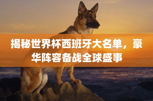揭秘世界杯西班牙大名单，豪华阵容备战全球盛事