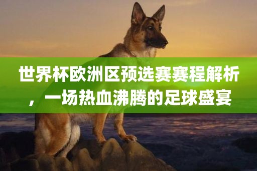 世界杯欧洲区预选赛赛程解析，一场热血沸腾的足球盛宴