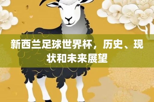 新西兰足球世界杯，历史、现状和未来展望