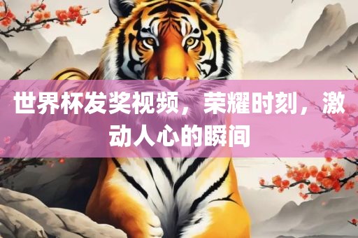 世漯河市盈旭机械设备有限公司界杯发奖视频，荣耀时刻，激动人心的瞬间