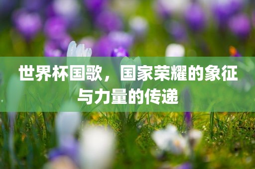 世界杯国歌，国家荣耀的象征与力量的传递