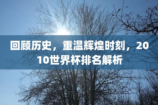 回顾历史，重温辉煌时刻，2010世界杯排名解析