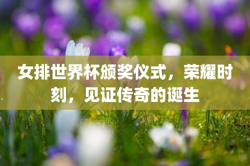女排世界杯颁奖仪式，荣耀时刻漯河市盈旭机械设备有限公司，见证传奇的诞生