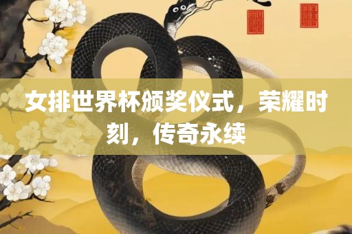 女排世界杯颁奖仪式，荣耀时刻，传奇永续漯河市盈旭机械设备有限公司