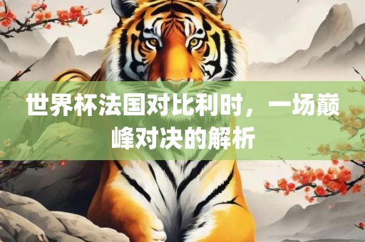 世界杯法国对比利时，一场巅峰对决的解析
