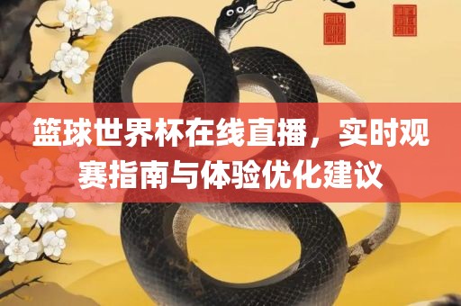 篮球世界杯在线直播，实时观赛指南与体验优化建议