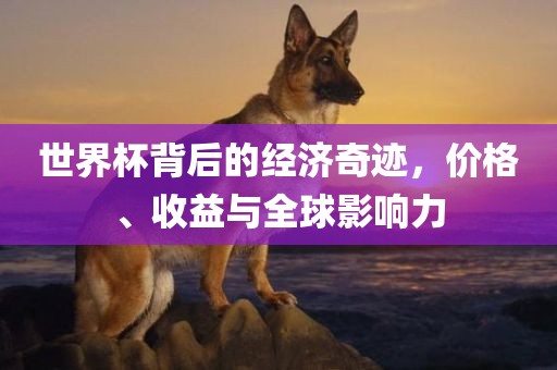 世界杯背后的经济奇迹，价格、收益与全球影响力