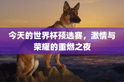 今天的世界杯预选赛，激情与荣耀的重燃之夜漯河市盈旭机械设备有限公司