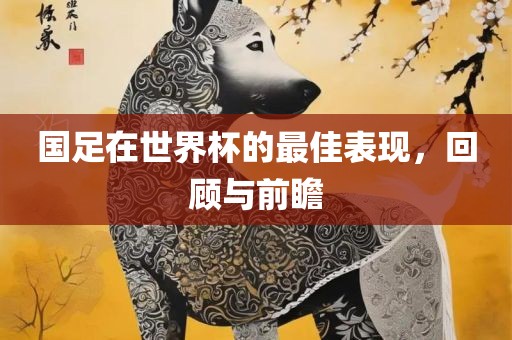 国足在世界杯的最佳表现，回顾与前瞻