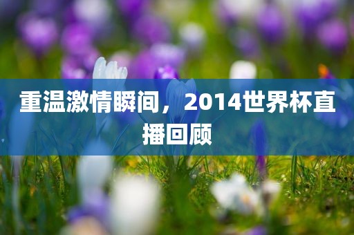 重温激情瞬间，2014世界杯直播回顾漯河市盈旭机械设备有限公司