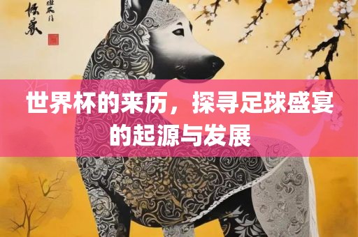 世界杯的来历，探寻足球盛宴的起源与发展漯河市盈旭机械设备有限公司