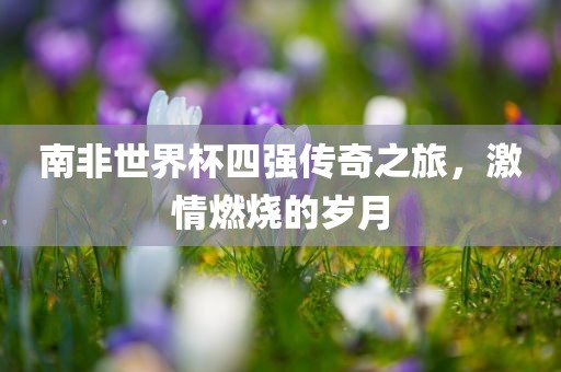 南非世界杯四强传奇之旅，激情燃烧的岁月漯河市盈旭机械设备有限公司