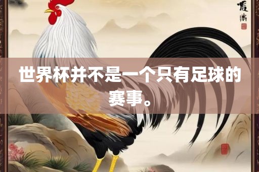 世界漯河市盈旭机械设备有限公司杯并不是一个只有足球的赛事。