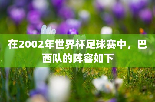 在2002年世界杯足球赛中，巴西队的阵容如下