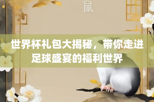世界杯礼包大揭秘，带你走进足球盛宴的福利世界