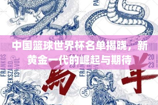中国篮球世界杯名单揭晓，新黄金一代的崛起与期待