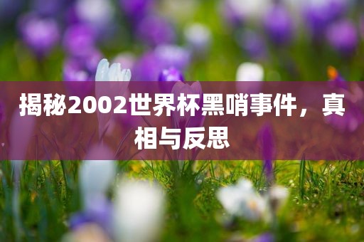 揭秘2002世界杯黑哨事件，真相与反思
