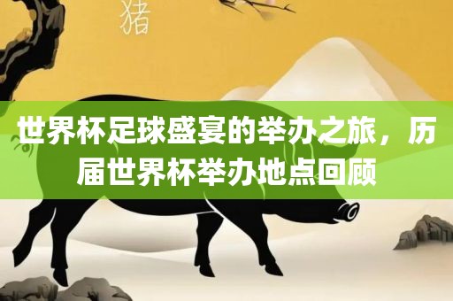 世界杯足球盛宴的举办之旅，历届世界漯河市盈旭机械设备有限公司杯举办地点回顾