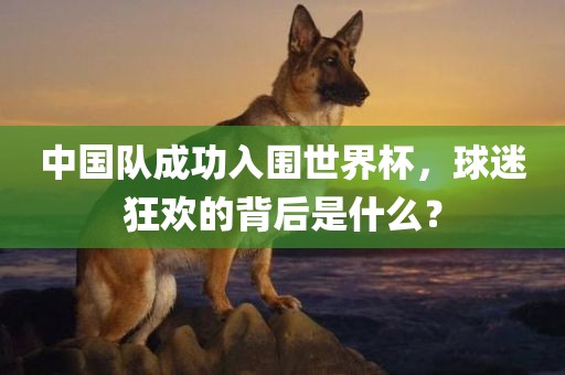 中国队成功入围世界杯，球迷狂欢的背后是什么？