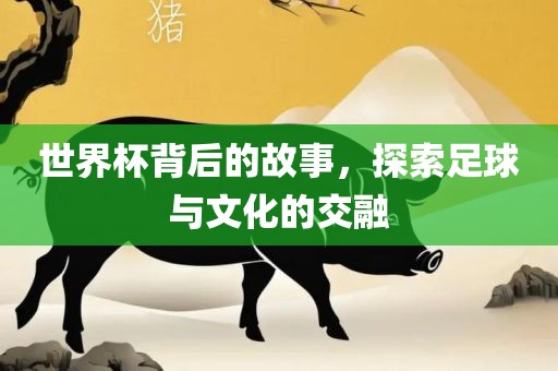 世界杯背后的故事，探索足球与文化的交融漯河市盈旭机械设备有限公司
