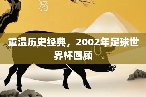 重温历史经典，2002年足球世界杯回顾