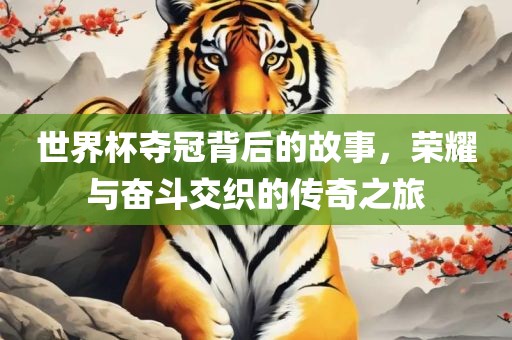 世界杯夺冠背后的故事，荣耀与奋斗交织的传奇之旅