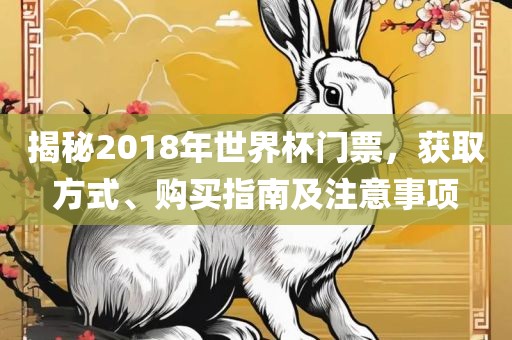 揭秘2018年世界杯门票，获取方式、购买指南及注意事项