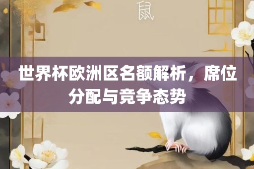 世界杯欧洲区名额解析，席位分配与竞争态势