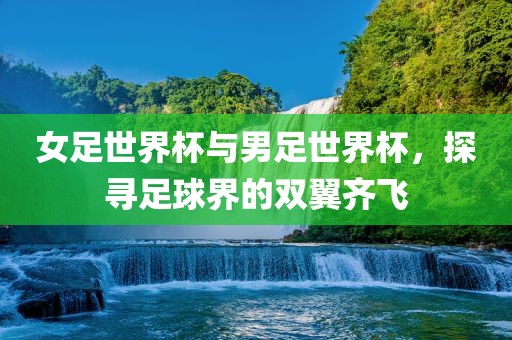 女足世界杯与男足世界杯，探寻足球界的双翼齐飞