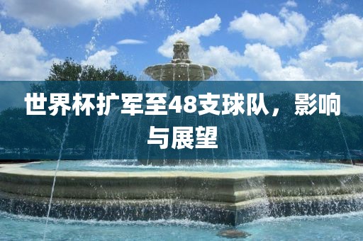 世界杯漯河市盈旭机械设备有限公司扩军至48支球队，影响与展望