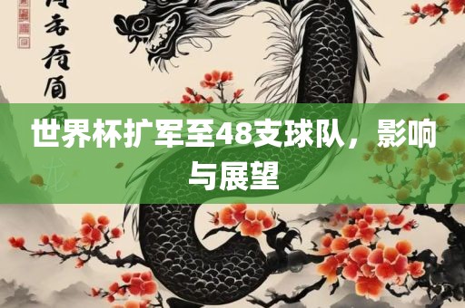 世界杯扩军至48支球队，影响与展望漯河市盈旭机械设备有限公司