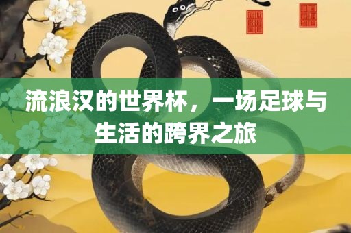 流浪汉的世界杯，一场足球与生活的跨界之旅漯河市盈旭机械设备有限公司