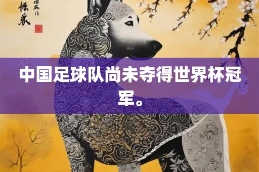 中国足球队尚未夺得世界杯冠军。
