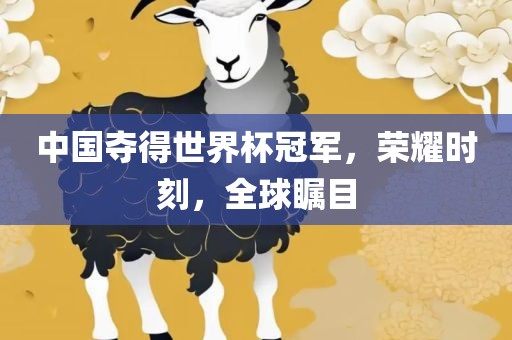 中国夺得世界杯冠军，荣耀时刻，全球瞩目漯河市盈旭机械设备有限公司