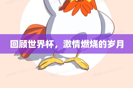回顾世界杯，激情燃烧的岁月