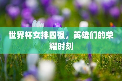 世界杯女排四强，英雄们的荣耀时刻漯河市盈旭机械设备有限公司