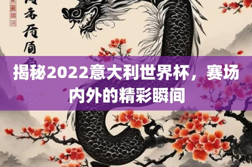 揭秘2022意大利世界杯，赛场内外的精彩瞬间